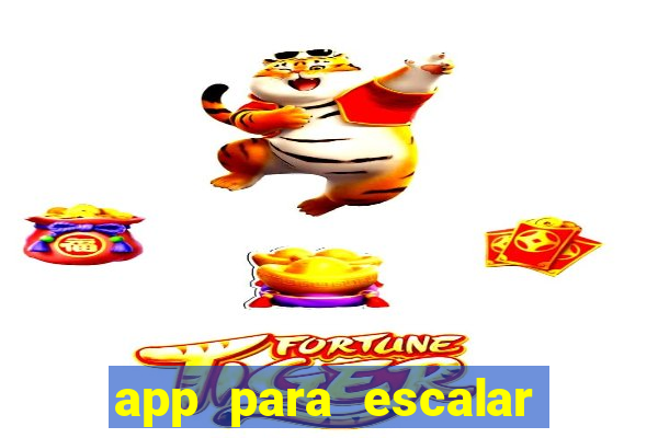 app para escalar time de futebol